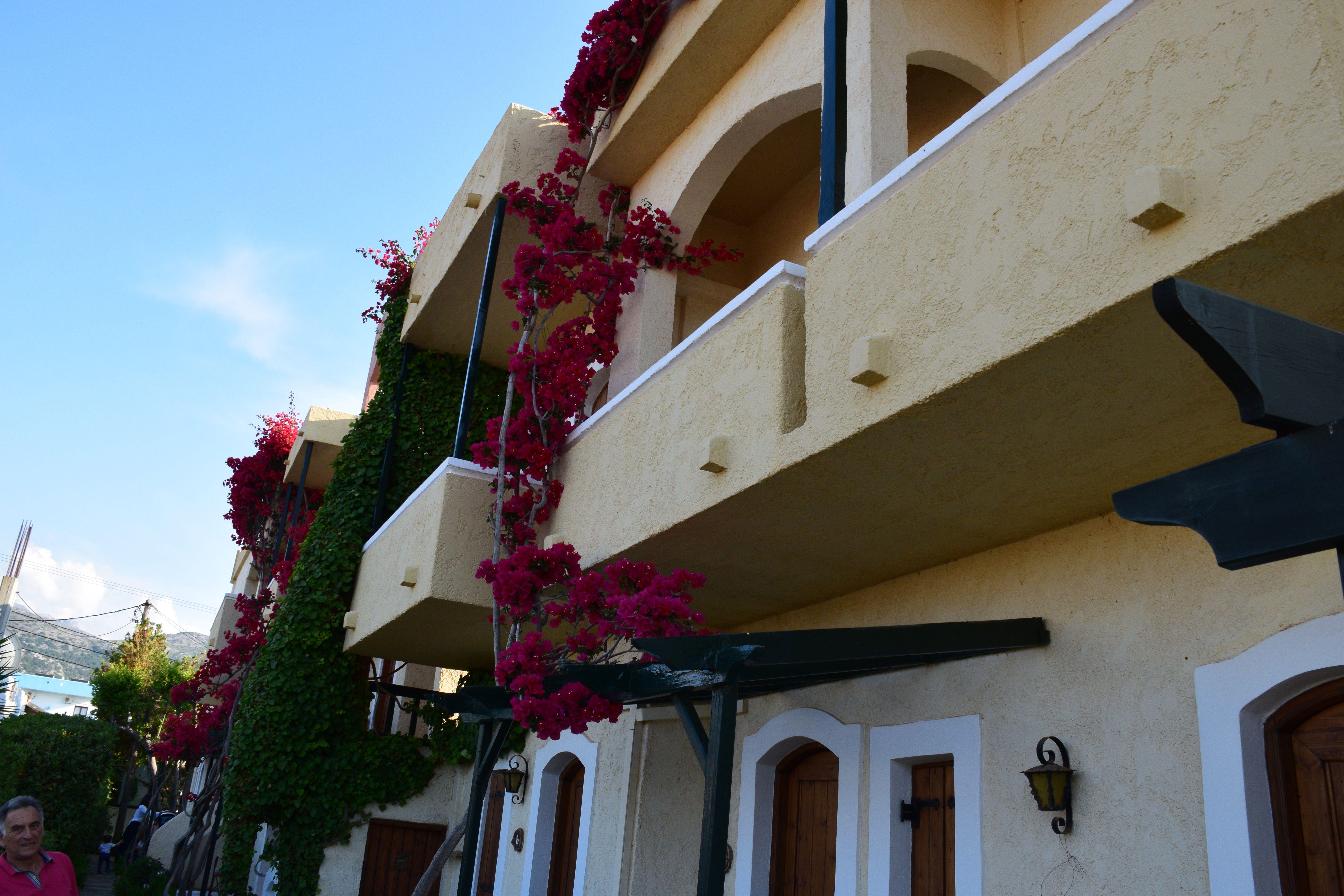 Mila Malia Studios Hotel Екстер'єр фото