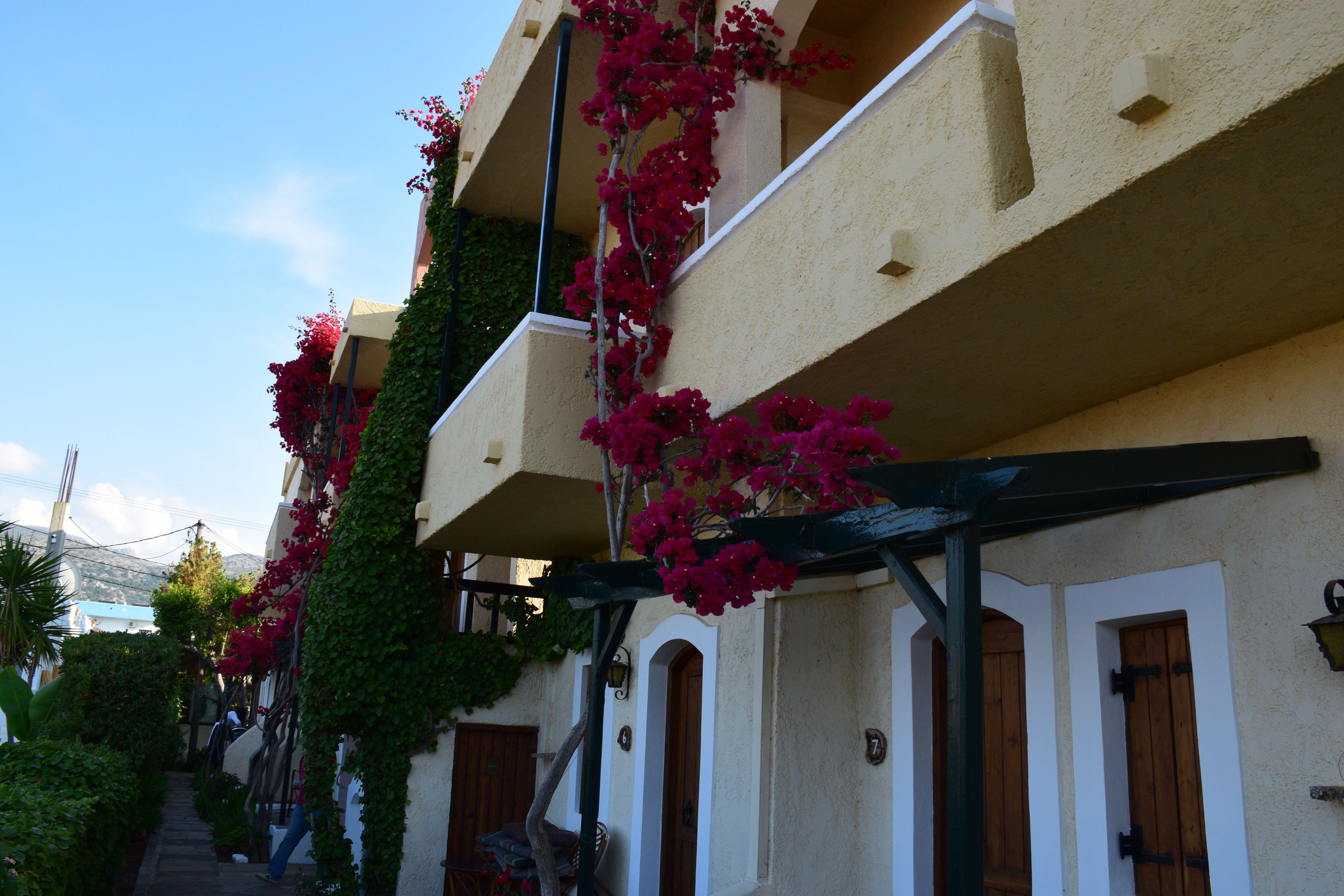 Mila Malia Studios Hotel Екстер'єр фото