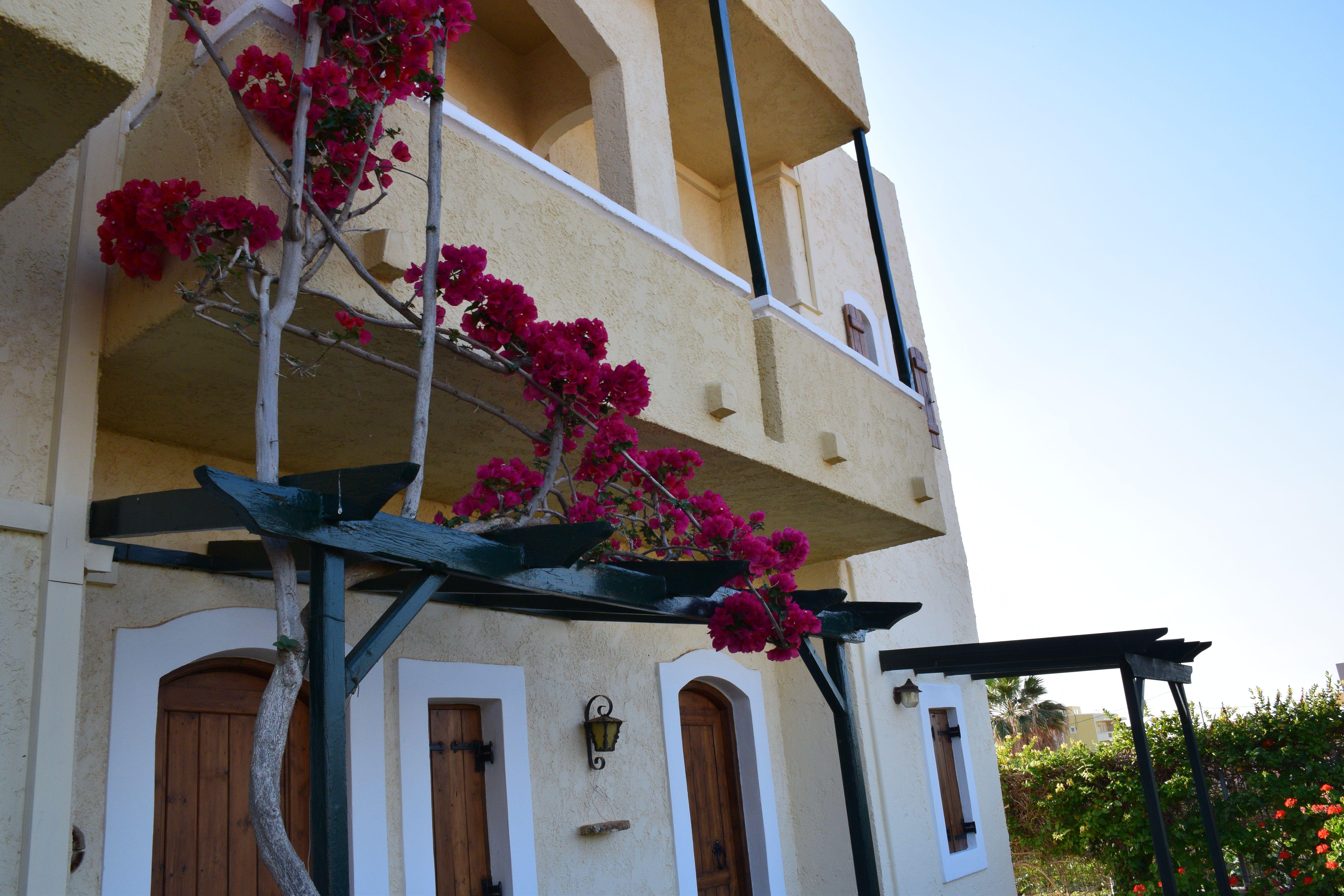 Mila Malia Studios Hotel Екстер'єр фото